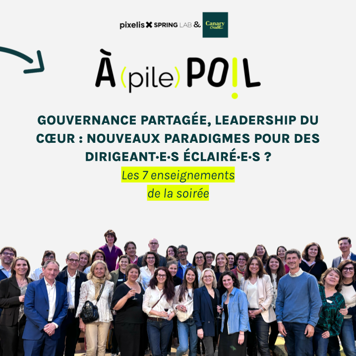 a-pile-poil-gouvernance-leadership