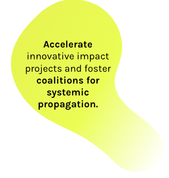 Accelerate innovative impact projects and foster coalitions for systemic propagation dynamics.