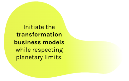 Initiate the transformation of business models while respecting planetary limits 